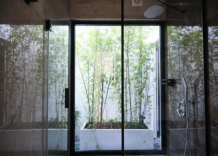 Vila Ashta / Zen *