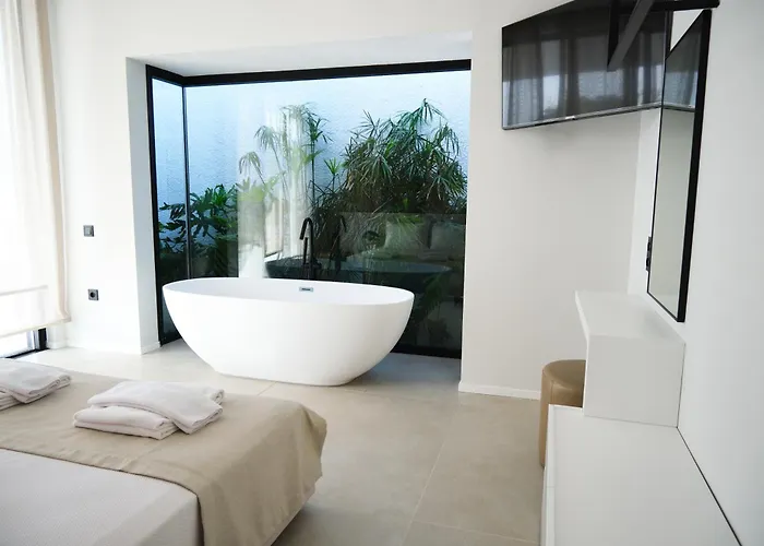 Vila Ashta / Zen